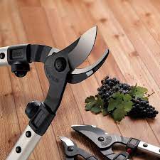 Ψαλίδι κορμών