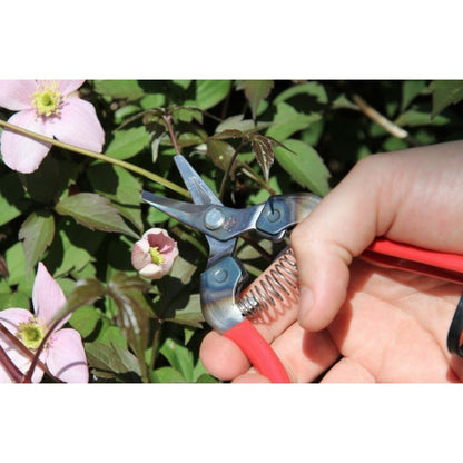 Ars 310  Ψαλίδι τρύγου και φρούτων | My Store