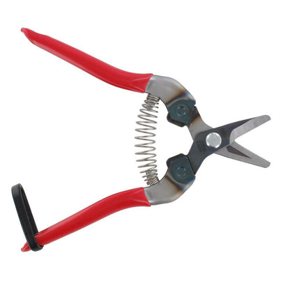 Ars 310  Ψαλίδι τρύγου και φρούτων | My Store