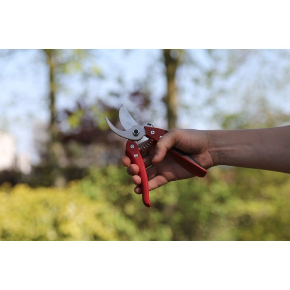 ARS CB-8 - Ψαλίδι κλαδέματος | My Store