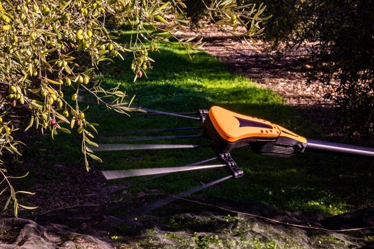 ΠΑΚΕΤΟ ΠΡΟΣΦΟΡΑΣ Pellenc olivion power 48 T220/300 τηλεσκοπικό ελαιοραβδιστικό μπαταρίας με κεφαλή solo και μπαταρία ULTRA LITHIUM Power Pack M+ | My Store