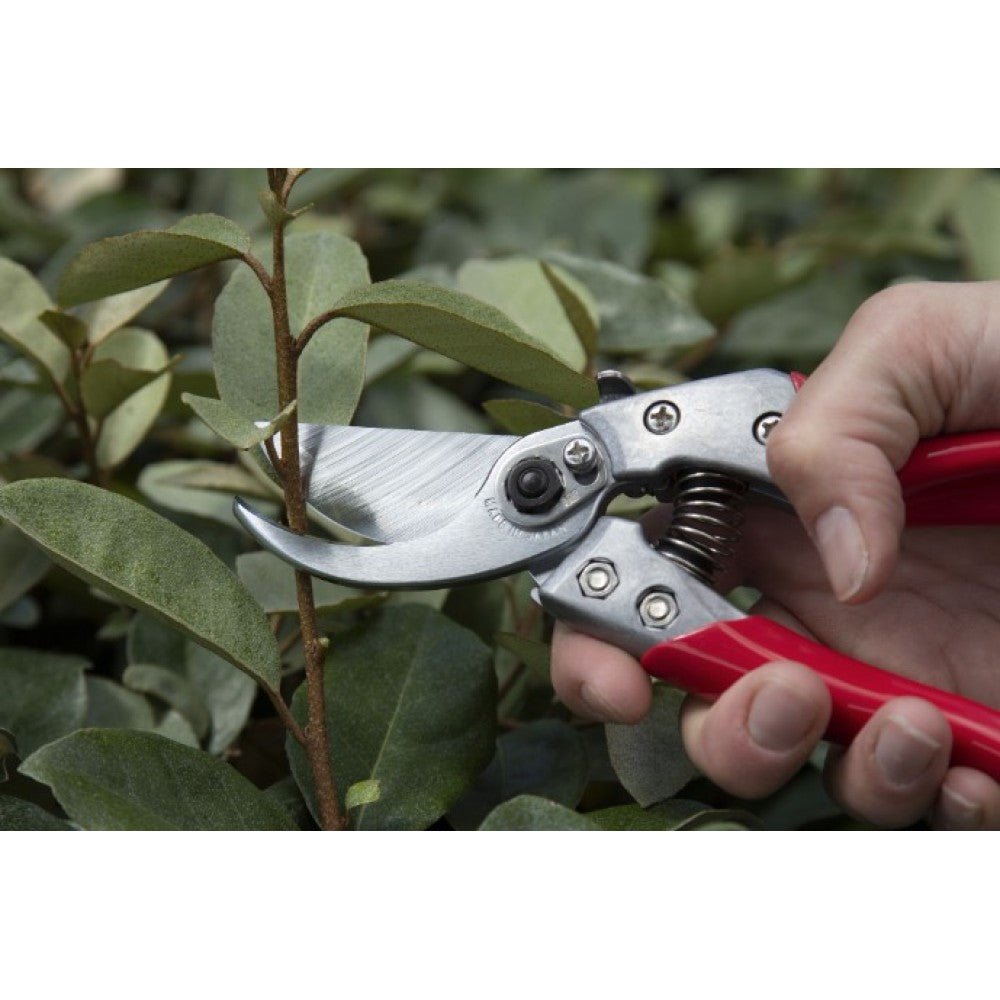 ARS VS-8XZ - Ψαλίδι κλαδέματος | My Store